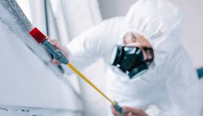 Best Residential Pest Control  in New Castle, IN